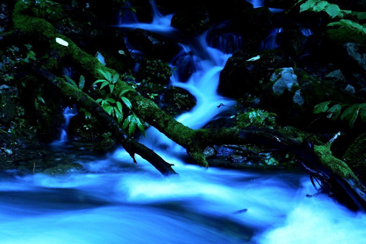 water, waterfall, motion, nature, flowing water, forest, rock - object, beauty in nature, waterfront, flowing, long exposure, stream, tree, high angle view, blurred motion, day, scenics, outdoors, tranquility