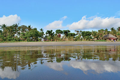Scenic view of palm trees by building against sky