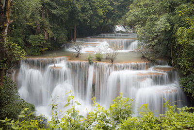 Scenic view of waterfall in forest