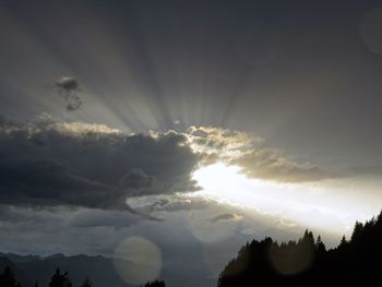 Low angle view of silhouette trees against sky during sunset