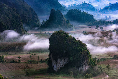 View of trees on landscape