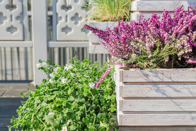 Flower pot against plants in yard