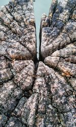 Full frame shot of rocks