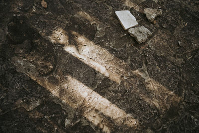 Full frame shot of stone wall