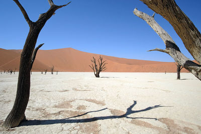 Namib national park, namibia