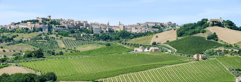 Panoramic shot of agricultural field against buildings in city