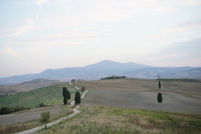 Rear view of field against sky