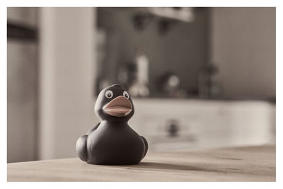 Close-up of black rubber duck on table