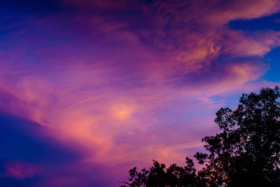 Low angle view of silhouette trees against dramatic sky