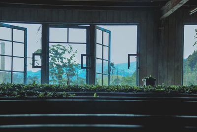 Potted plants by window in building