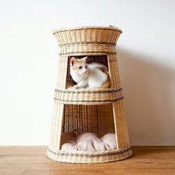 Cat sitting in basket against wall