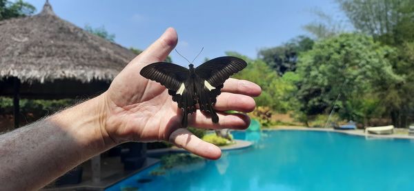 Man holding hands in swimming pool