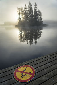 Close-up of tree by lake against sky
