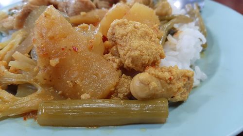 Close-up of food served in plate