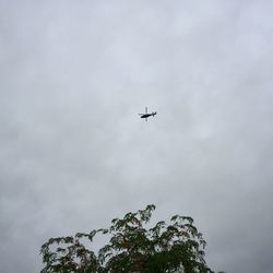 Low angle view of airplane flying in sky