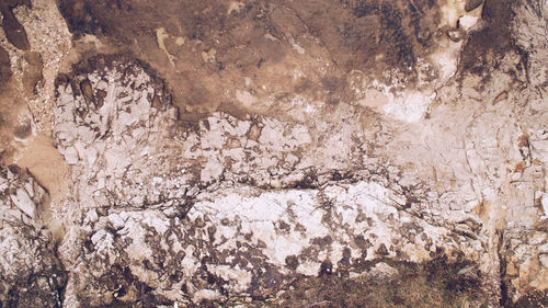 Full frame shot of rocks with trees