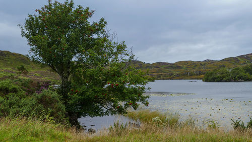 Scenic view of lake against sky