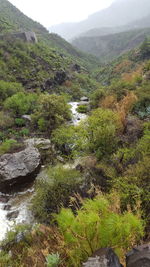 Scenic view of river and mountains