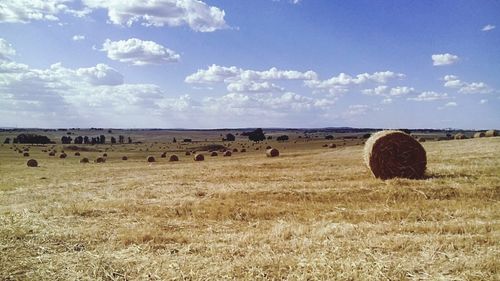 Scenic view of rural landscape