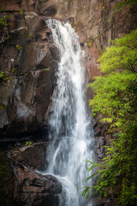 Scenic view of waterfall in forest