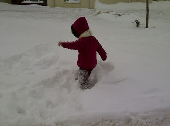Rear view of child in snow