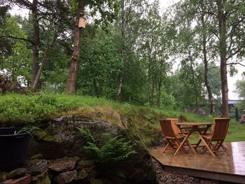 Chairs and table by trees in forest