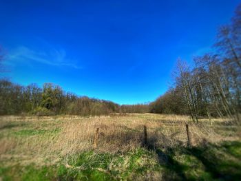 Scenic view of field against blue sky