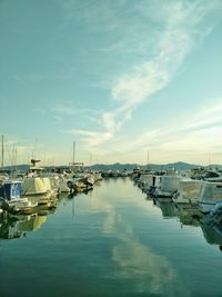 Boats moored at harbor