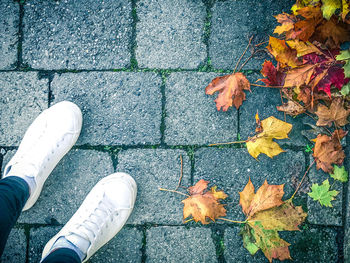 Low section of autumn leaves on footpath