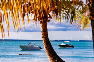 The island of mauritius in the indian ocean is an el dorado for water sports enthusiasts and surfers