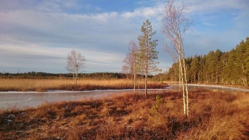 Scenic view of landscape against sky