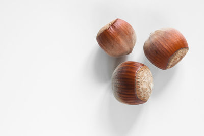 shell