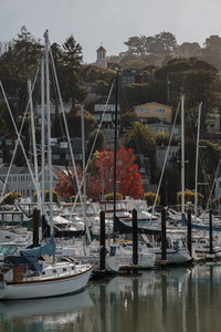 Boats moored at harbor