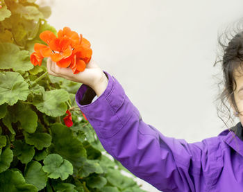 Close-up of hand holding purple flowering plants