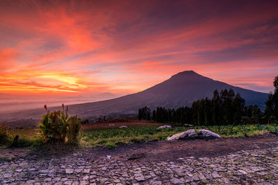 Scenic view of landscape against sky during sunset