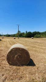 field