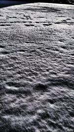 Full frame shot of tree stump