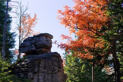 Low angle view of statue against sky during autumn