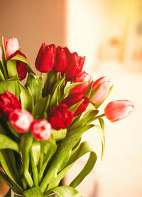 Close-up of flower bouquet