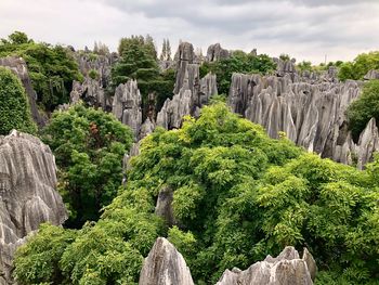 Panoramic view of rocks and trees against sky