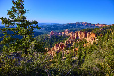 wilderness
