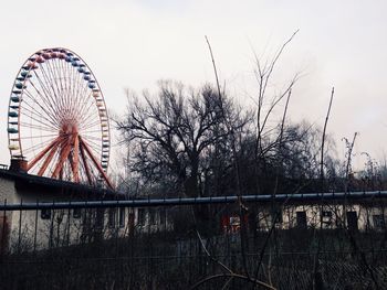 ferris wheel