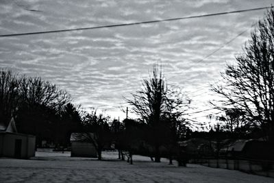 Bare trees on landscape against cloudy sky