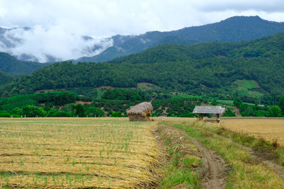 Scenic view of field against mountains