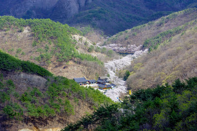 Geumdangsa temple and cherry blossom at jinan, south korea