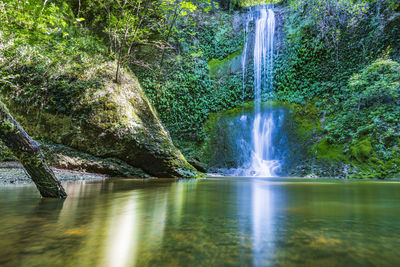 Waterfall surrounded by greenery. acquacaduta. friuli, italy