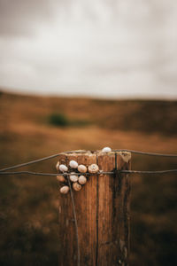 Close-up of wooden fence on field against sky