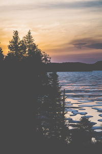 Silhouette tree by lake against sky during sunset
