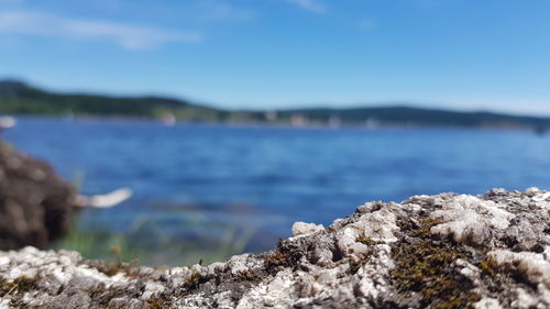 Close-up of rock against sea