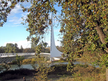 Low angle view of tree and bridge against sky